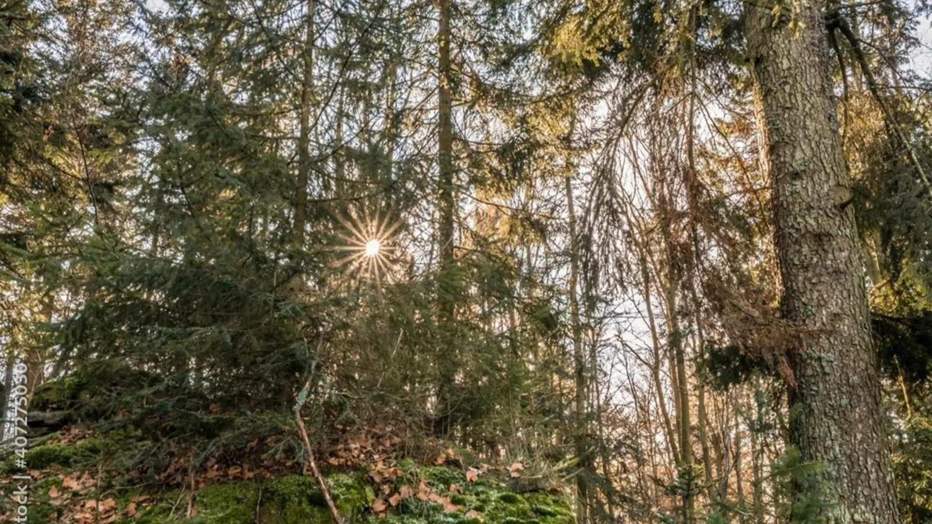 Lovely Flat In Deggendorf With Luxurious Furnishings With Southern Flair